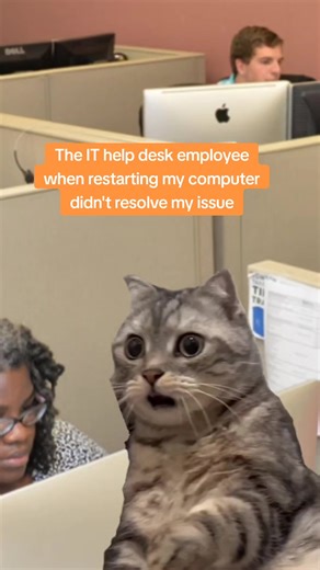 Succurri on Instagram: "When restarting doesn’t fix it 😅💻🙄 Drop your comments below 👇"