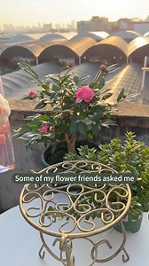 5.3K views · 135 reactions | What to do if your flowers have insect's. | Spices & Herbs | Facebook