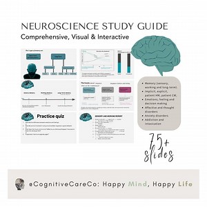 Interactive, Neuroscience Google Slides. Study Slides. Psychology. Study Guides. Flash Card Slides. Aesthetic Notes. Test Preparation. - Etsy UK