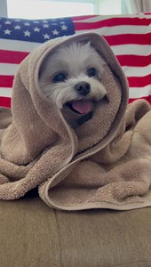 150K views · 10K reactions | Not the Monday I had envisioned…. | A day in the life of Minnie's Little Sister Haley | Facebook