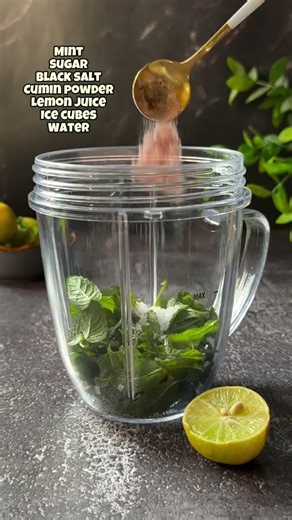 Mint Lemonade | Summer Special Drink