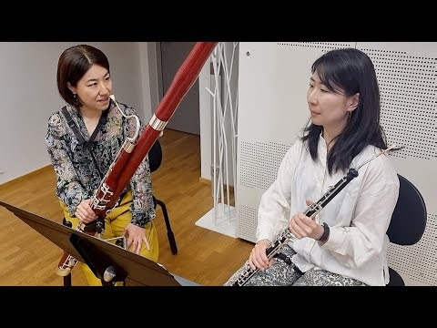 ERGOsupports on double reed instruments; in Japanese