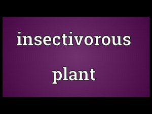 Insectivorous plant Meaning