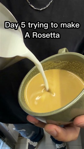 Day 5 of Trying to make a Rosetta 🌿☕