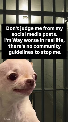 The Dark Humor of Evildog: Join the Fun