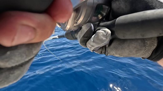 91K views · 973 reactions | ⚫️Jordi Domínguez nos explica como mueve los señuelos Real slow JLC en modo inchiku. Es un señuelo muy versátil puesto que si dejas volar la imaginación te da la opción de diferentes montajes gracias a su tercera anilla central situada en la barriga. En este caso el color usado es el SARDINA. #jlclures #realslowJLC #JLC #pesca #jigging #pescavertical #slowjigging #shimano www.jlclures.com | JLC lures | Facebook