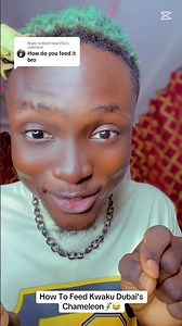 How to feed a Chameleon