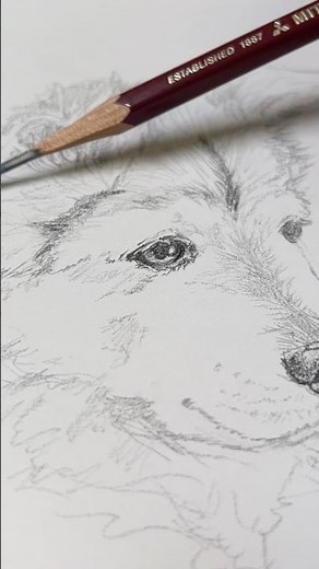 30回犬を描いたら神絵師になれるか検証 第26回 #イラストメイキング #pencildrawing