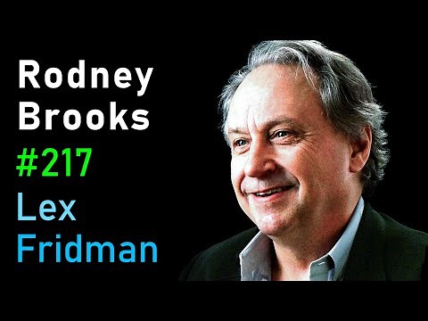 Rodney Brooks: Robotics | Lex Fridman Podcast #217