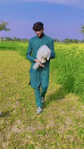 Understanding Cat Behavior: Why Cats Cut