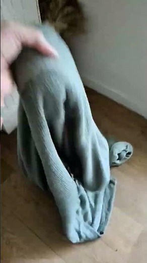 I adopted a dog 😳🐕‍🦺