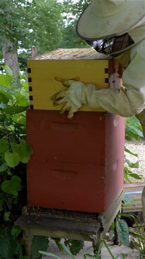 Finally time to add the flow frames to my new Russian colony #beekeeper #flowhive #Beekeeping #Bees #honey #beehive #honeyharvest #beeswax | Bowser Bee