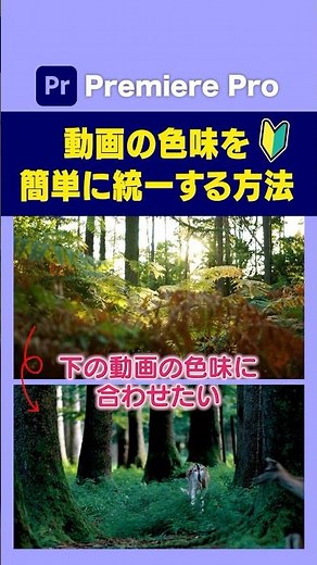 【色調補正】2つの動画の色味を合わせる方法【カラーマッチ】