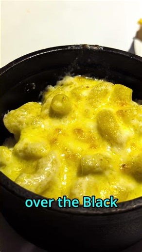 Fahrenheit 555 Carnvial Splendor Review Short