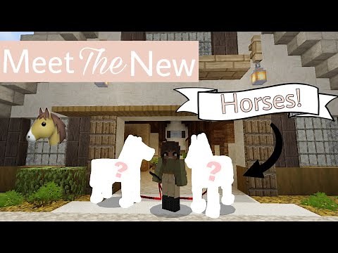Meet The New Horses! | Minecraft | DibbleCraft