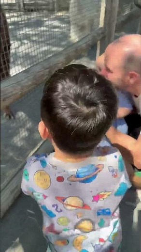 A Secret Zoo in Brooklyn? 👀 Prospect Park Zoo Adventure! 🐯