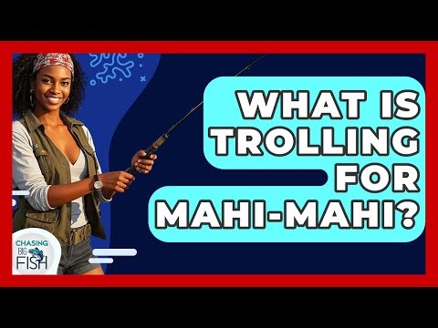 What Is Trolling For Mahi-Mahi? - Chasing Big Fish