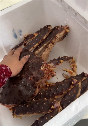 Enjoying King Crab Mukbang with Edward Darren