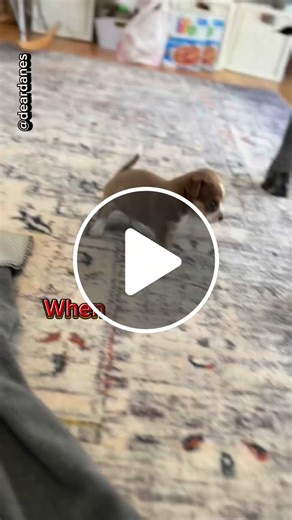 Queen Latifah brings out and perfects all the parts she is given - NewsBreak