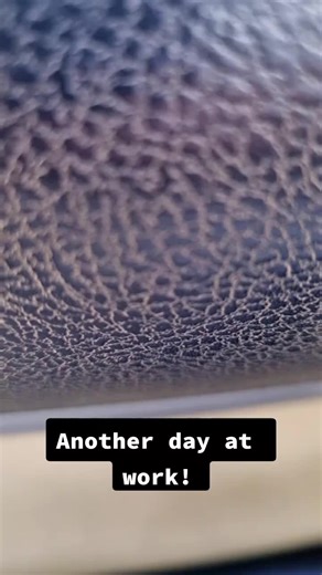 A LION CUB!!!!🦁 #justababy #fyp #fypシ #bushveld #southafrica #mjejanebushcamp #gameranger #lion #lioncub #lionking