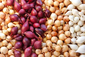 The Top 10 Prebiotic Foods