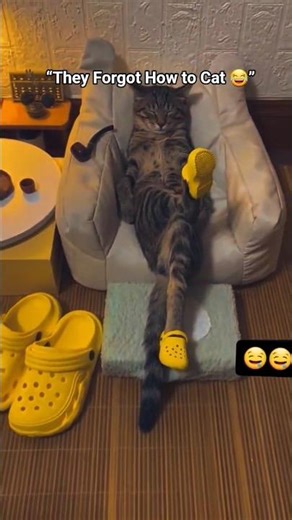 Cats Who Forgot How to Cat 😆🐱 #shorts #cat