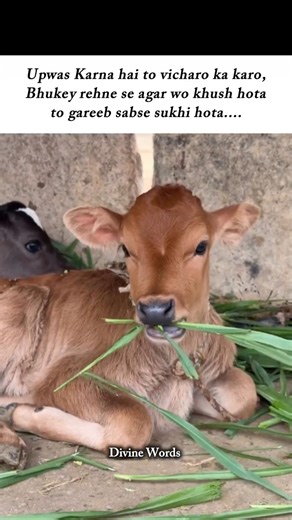 Upwas Pet Ka Nahi, Vicharon Ka Hona Chahiye 😌💯 #bhaktivichar #spiritualtruth #bhaktishorts