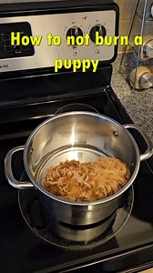 3.6K views · 68 reactions | How to not burn a puppy! #pet #foryou #reels #reelsinstagram #instagram #dogsofinstagram #foryou #pet #reelsfb #funnyanimals #cutepets #animalmemes #laughinganimals #petsoffacebook #funnypetvideos #petlaughs #puppylove #dogsofinstagram #dogs #doglover #doglife #funnydogs #reelsinstagram #reels2023 #reelsvideo #reelsviral #reelsfb #babydog #trendingreels | Life With Mao | Facebook