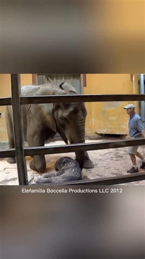 148K views · 4.8K reactions | Yesterday we shared screenshots of...