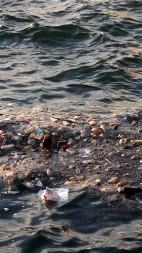 Understanding MARPOL Annex V and Its Importance