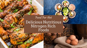 15 Nitrogen Rich Foods That Can Be Good For You | Food For Net
