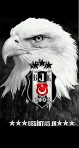 Beşiktaş bildiğiniz gibi.... #beşiktaş #rafasilva #immobile #goals #futbol #keşfet #bjk #süperlig | Sezgin Mısırlı