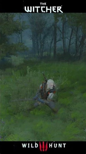 The Witcher 3 Wild Hunt - Traversing the Game World Short 19 - Canine Cutdown #shorts #gaming