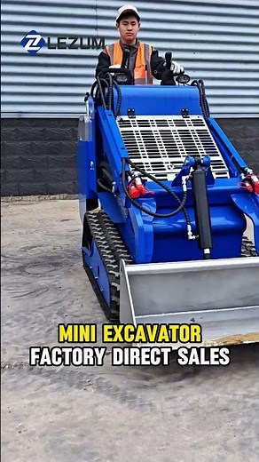 LEZUM LA580 Mini Small Skid Steer Loader Crawler Electric/Diesel Skid Steer Loaders For Sale
