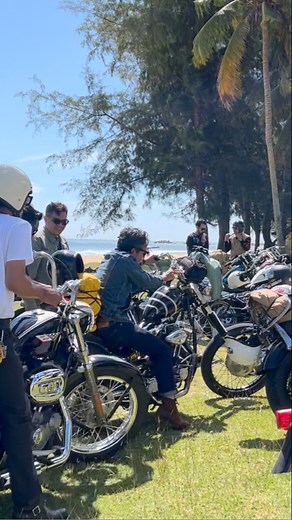 3K views · 547 reactions | Gimme Shelter Service Chop on Reels | Facebook