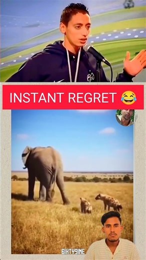 The Elephant's "Air" Defense System! 🐘💨 #Shorts #wildlife #yourubeshorts