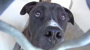 2.5K views · 150 reactions |   CODE RED!! NEEDS OUT BY FRIDAY 5PM...