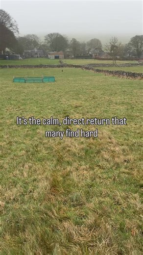 A retrieve asks for two very different things. Energy going out. Calm coming back. Most dogs find the first part easy. The second part is where it unravels. Rushing, spinning, crashing into you, that’s not excitement for the job. It’s difficulty switching gears. Calm retrieves aren’t about slowing the dog down. They’re about helping the dog change state. That’s a skill. Not a flaw. . . . . Gundog training | Labrador | Retrieve training | pet gundog training | Sheffield dog training | pet gundog 