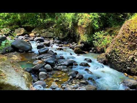 📚 River Sounds for Study | Focus Music | Concentration Aid | Peaceful Water Background Noise