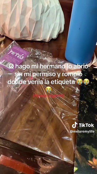 Mi hermano rompió el regalo sin permiso