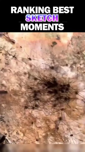 Ranking Best Unusual Bug Moments Try Not To Laugh Funny Videos Compilation #funnytiktok #funnymemes #funnyvideos😂 #fyp #tiktokusa