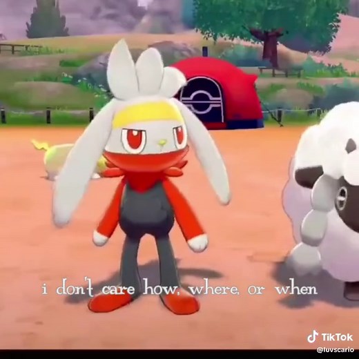 my baby!!! i love the scorbunny line soooo much, and im their no1 fan [ #pokemon #scorbunny #raboot #cinderace #pokemonswordandshield #pokemonscarletviolet #pokemoncommunity #pokemontiktok ]