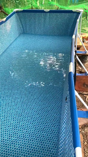 Intex Rectangular Swimming Pool Installation Guide