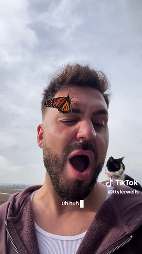 Witness the Monarch Butterflies Hatching