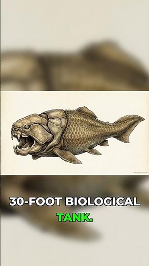 How big was the Dunkleosteus really? #fossil #science #prehistoric