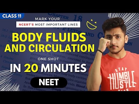 Body Fluids and Circulation Class 11 | Biology | For NEET | Full Revision In 20 Minutes