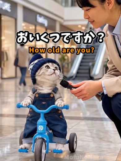 にゃんきち: もふのなか グッズ & LINEスタンプ登場！