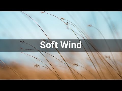 Soft Wind • Weather • Sounds Effects (No Copyright Sounds)