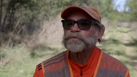 FIELD TRAINING: WIREHAIRED POINTING GRIFFON