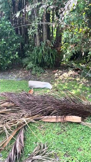 Landscape Crew vs Landscape Lights… Stoneking Armor Saves Them Again